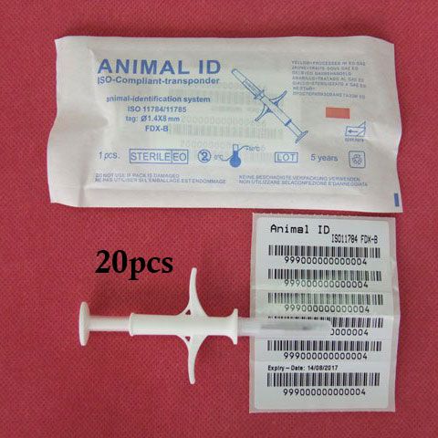 Sample C Sample C
