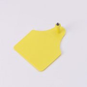 FDX-B Reusable Ear Tag with Visual Pad